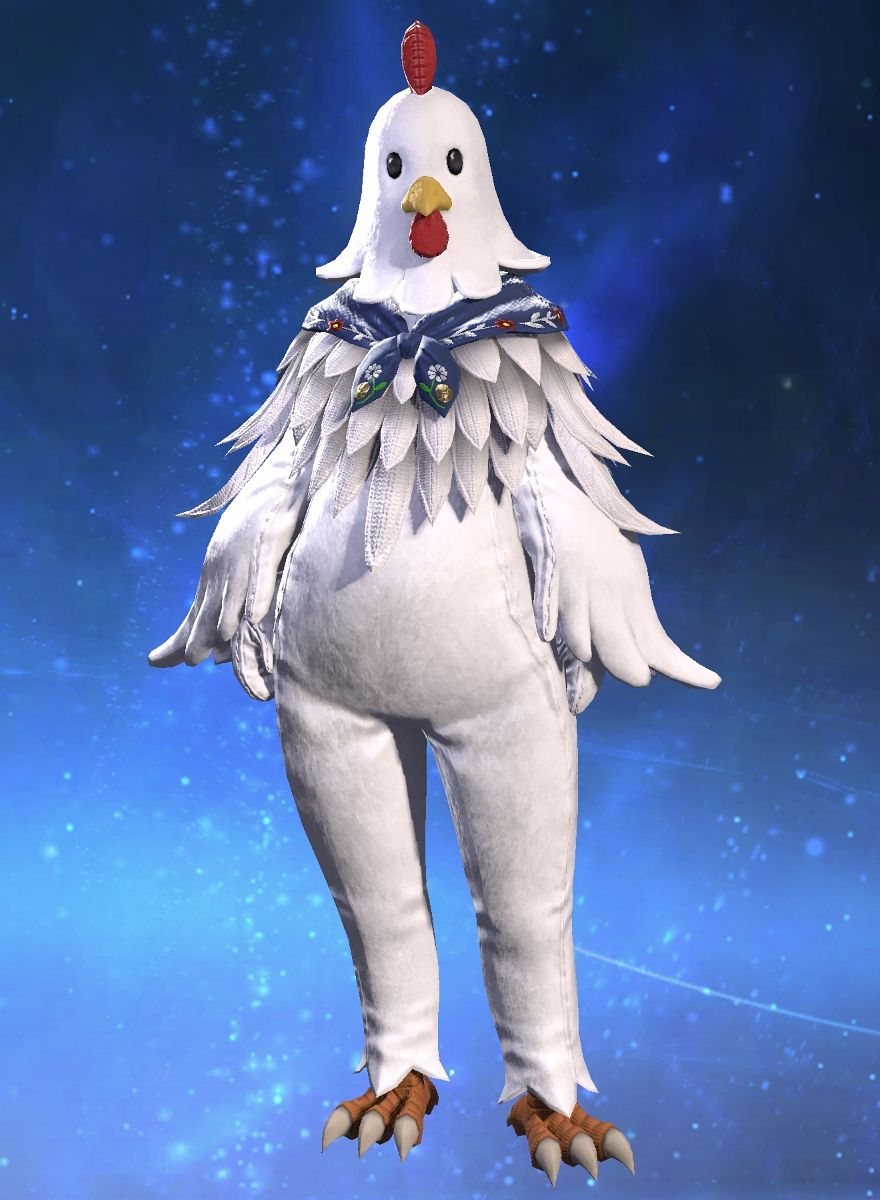 Toki Tashi
