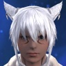Gray Fox