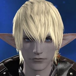 Night Elfs