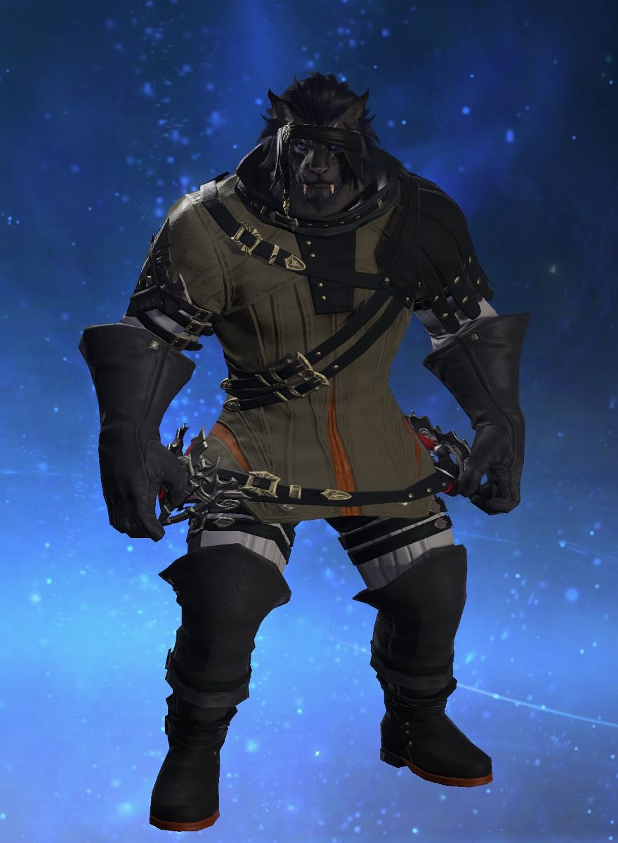 Cosmic Fool