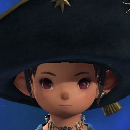 Mini Maki