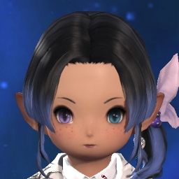 Pocket Popoto