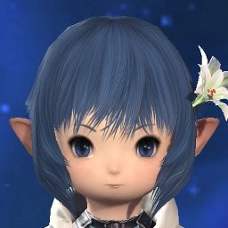 Kofufu's Avatar