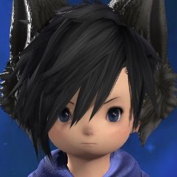 Chaton Chatnoir