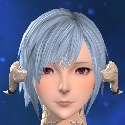 Sakabook Ss
