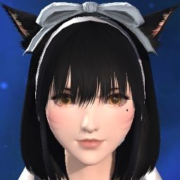 Your Kitten