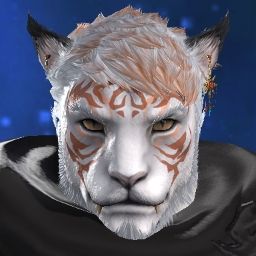 Mastwiz Dohry
