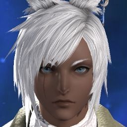 Shin Torm