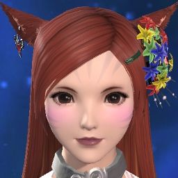 Lexsy Kingscholar