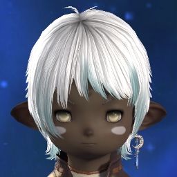Pachi Risu
