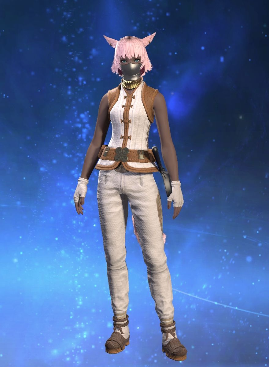 Pigeon Pirate