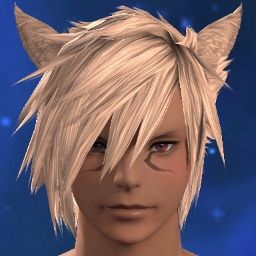 Sweaty Catto