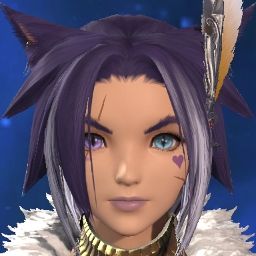 Housing Alt