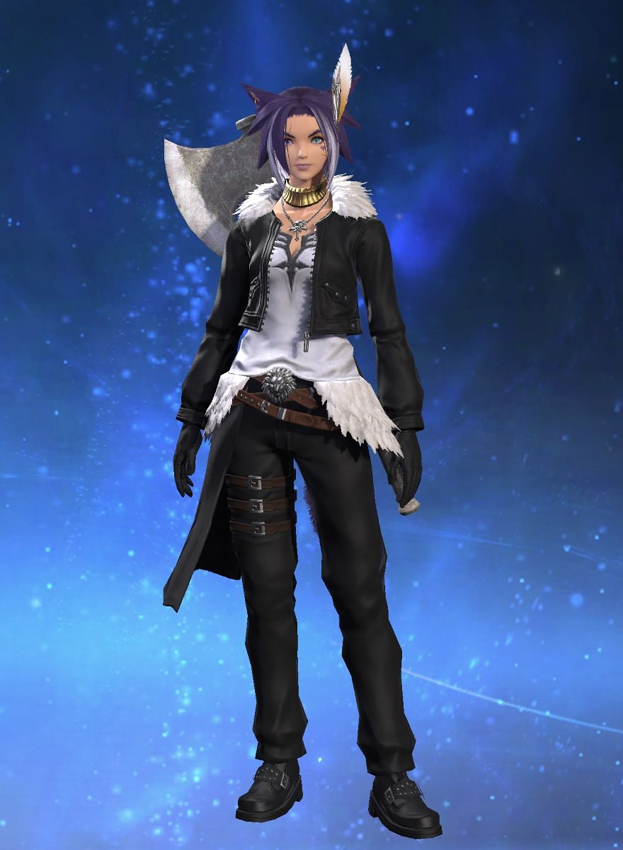 Housing Alt
