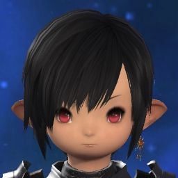 Paladin Main