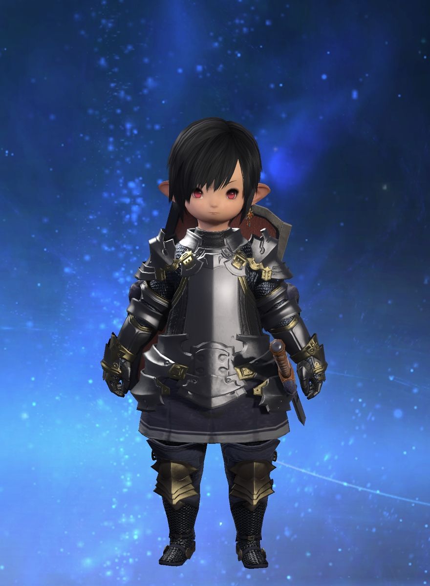 Paladin Main
