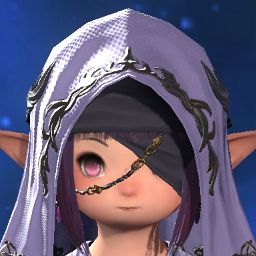 Blueberry Popoto