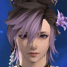 Noctus Hylnoir