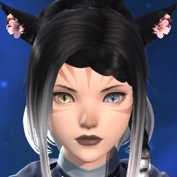 Ailura Lechat