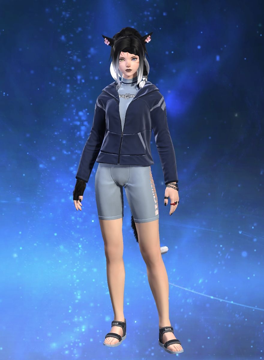 Ailura Lechat