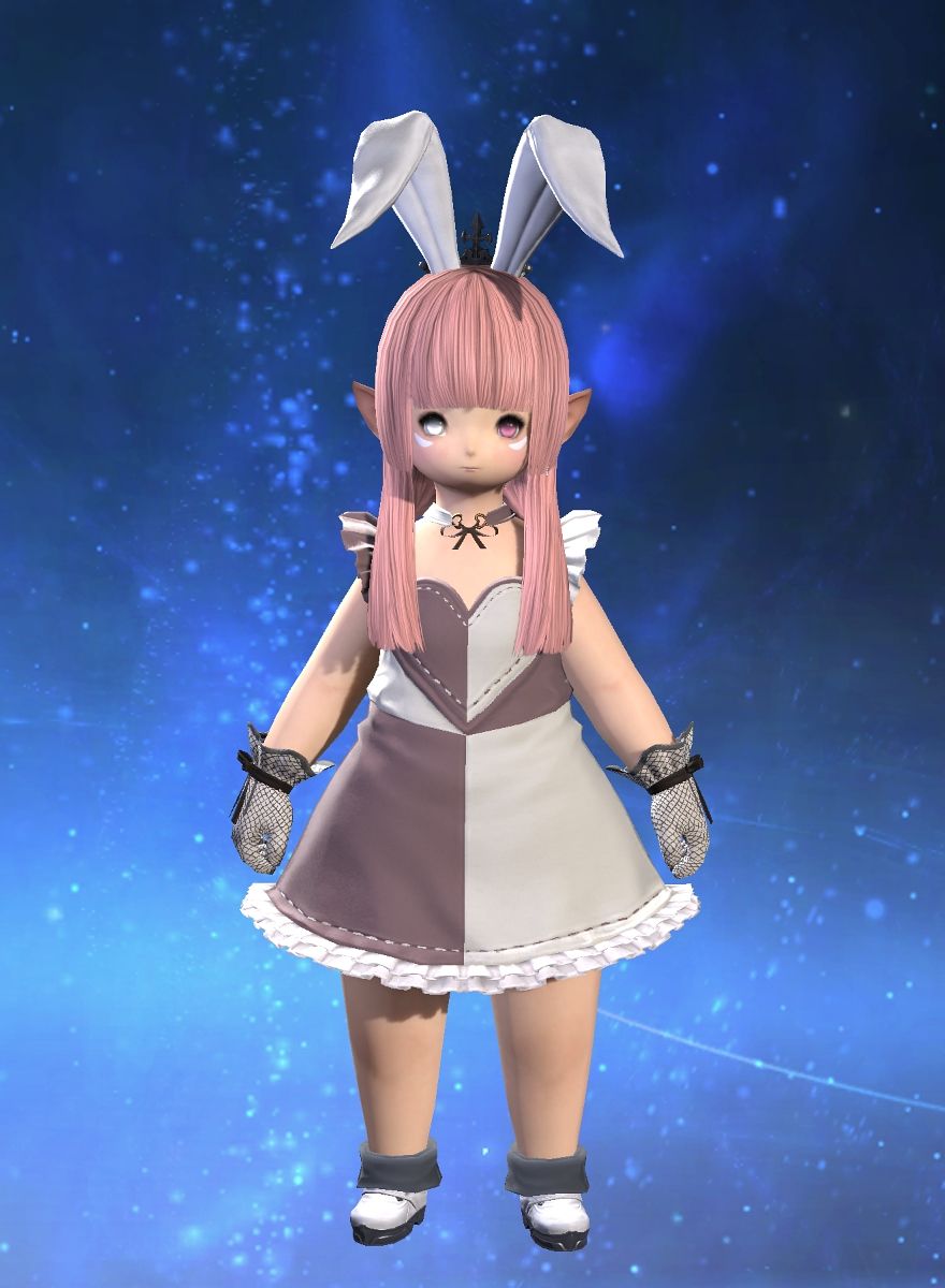 Cat Rabbits