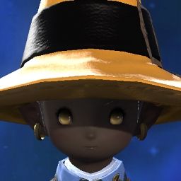 Vivi Koi