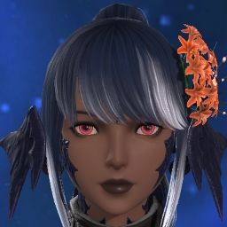 Exeris Verenaira