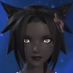 Void Cat