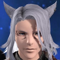 D'artagnan Panda