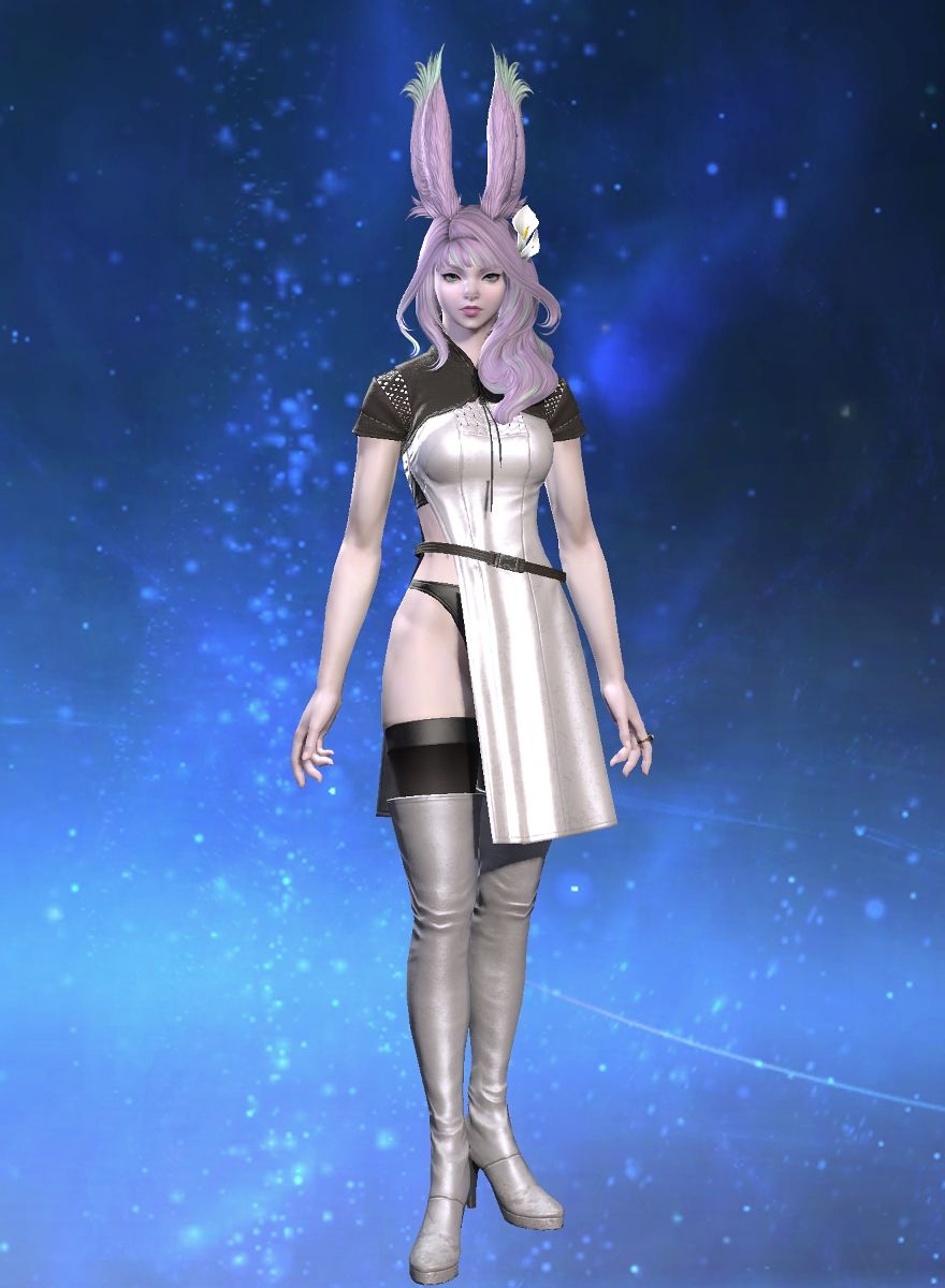 Lapine Nix