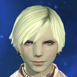 Bard Novis
