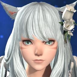 Yuki Strife
