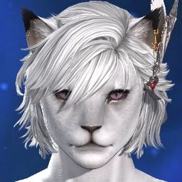 Femboi Kitty