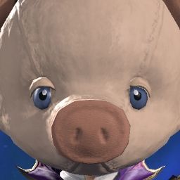 Quohog Oinkavich