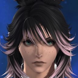 Leoric Valkyrie