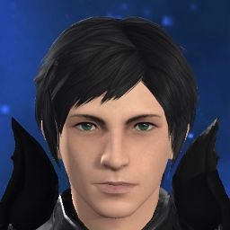 Levi Vindictus