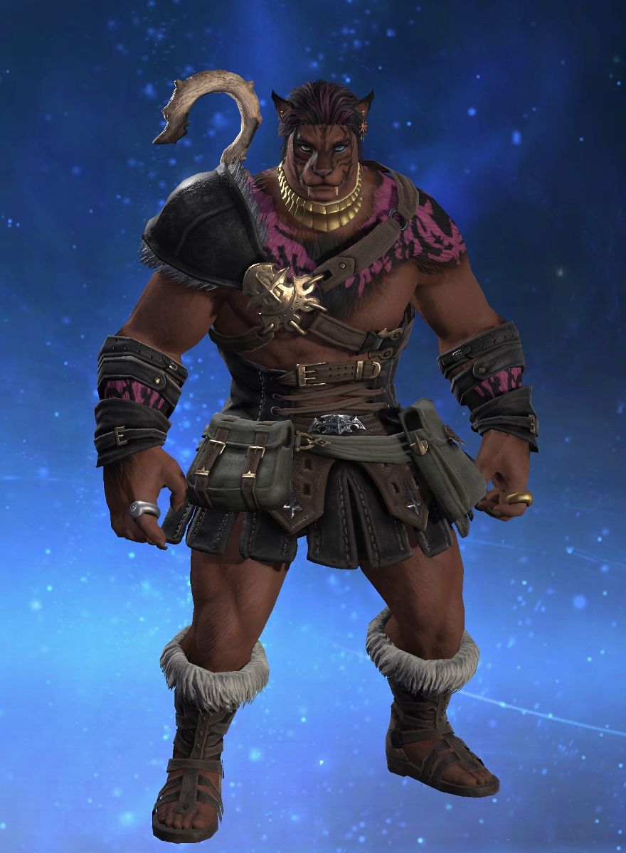 Zorro Asteri