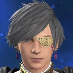 Nawoki Vellfire-f