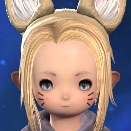 Neko Jr