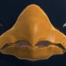 Iconic_IPG's Avatar