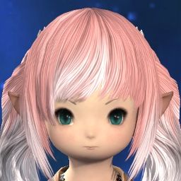 Monaka Macaron
