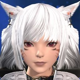 Paw Solocarry