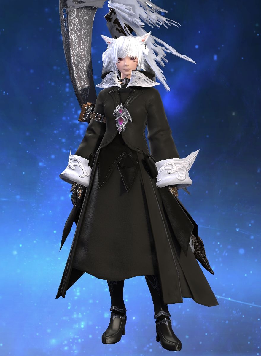 Paw Solocarry