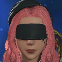 Punksher Damage