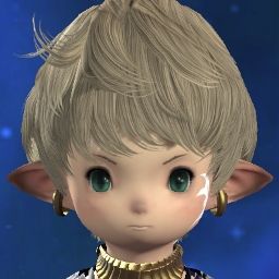 Sora Anima