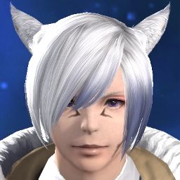 Rui Neco