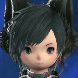 Shou Sleet