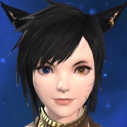 Exi Cat