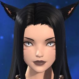 Yoru Tori