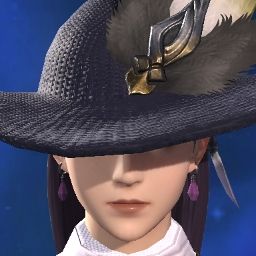 Penguin Moon